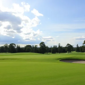 Close-up of a Beautiful Golf Course